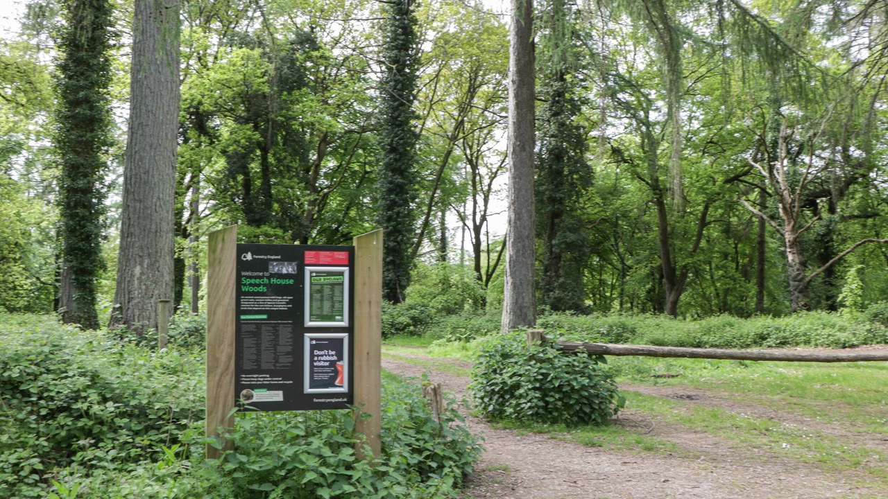 Photo of Outdoor in Cinderford