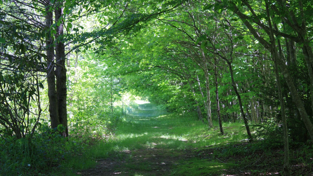 Photo of Others in Boone