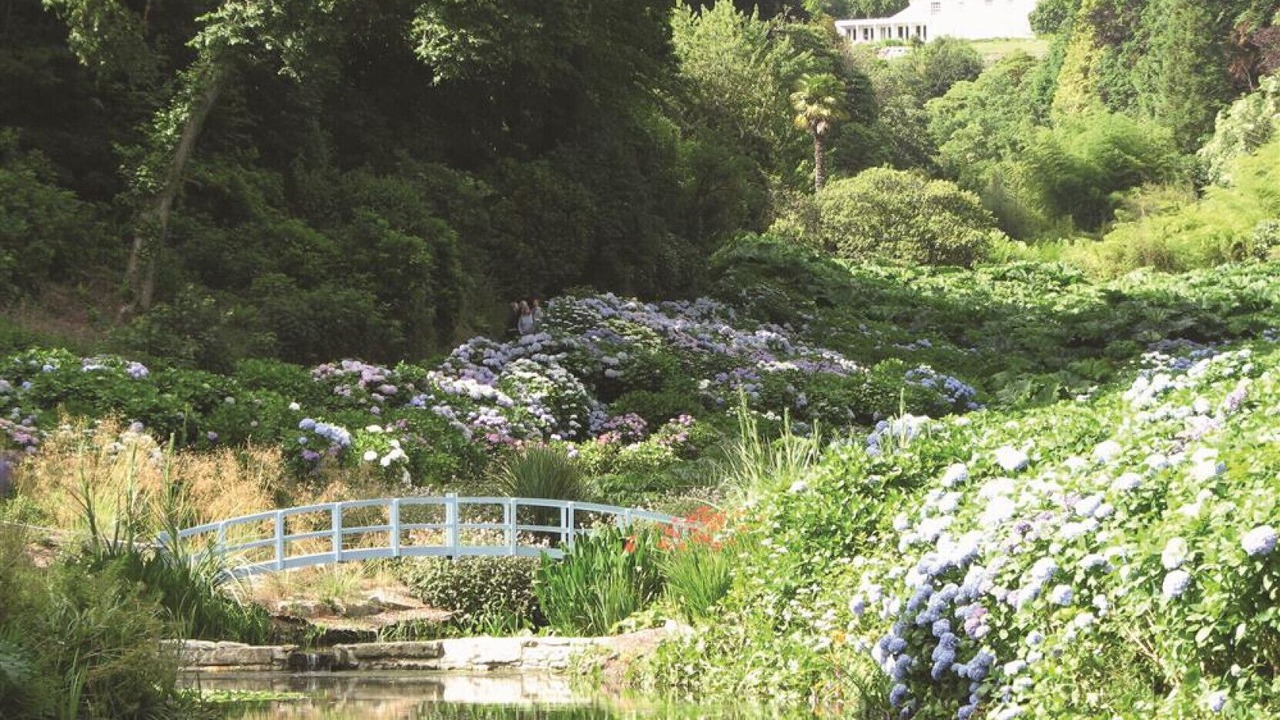 Photo of Outdoor in Mabe