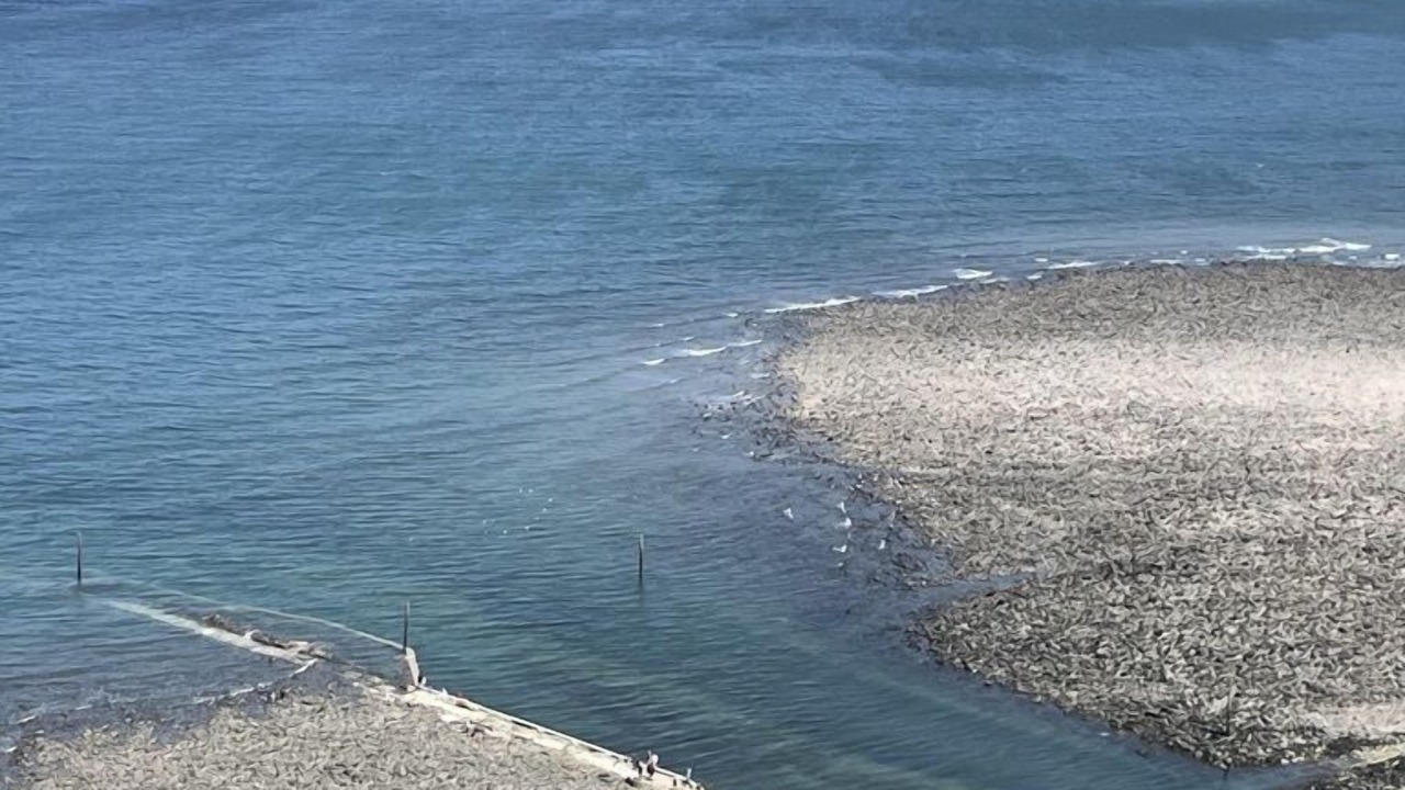 Photo of Others in Lynton