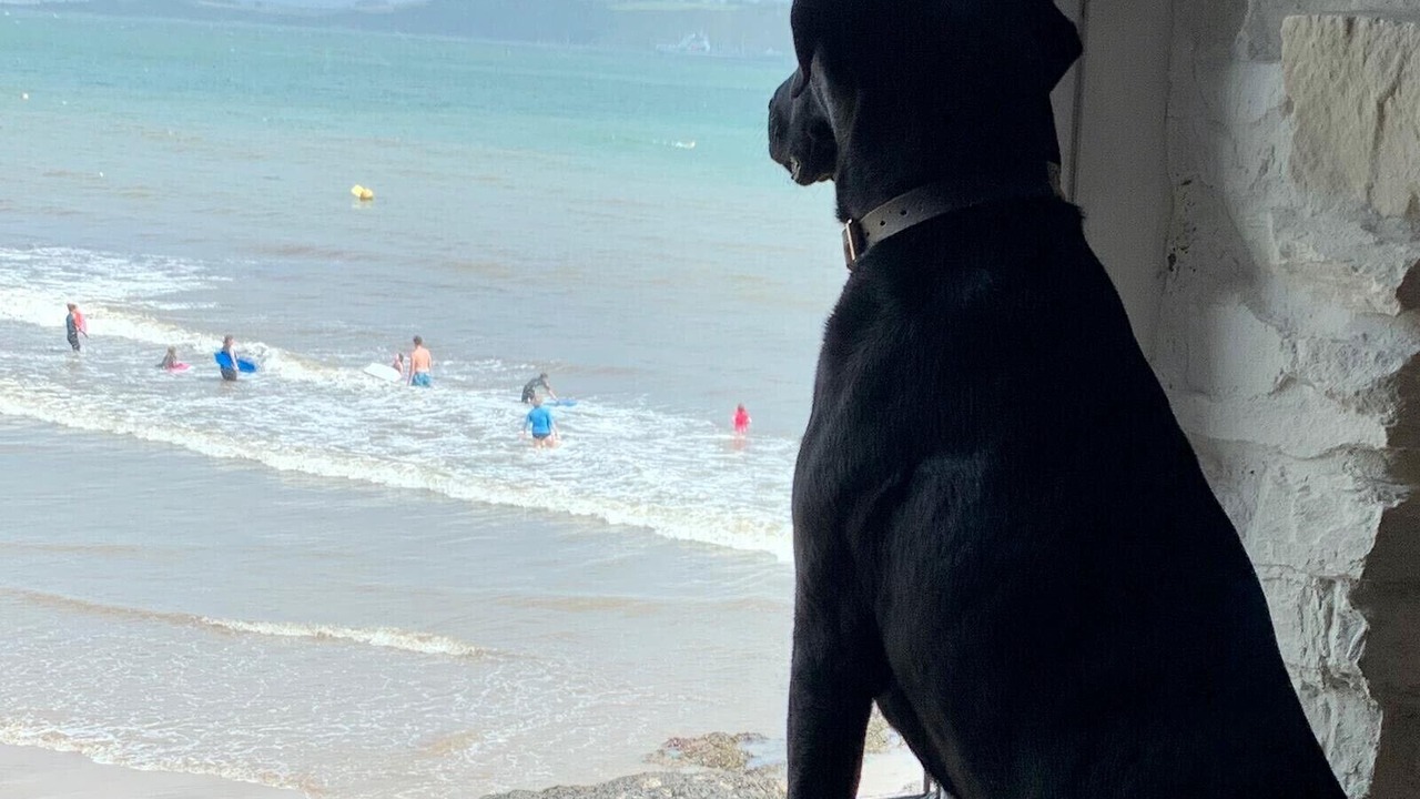 Photo of Others in Kingsand