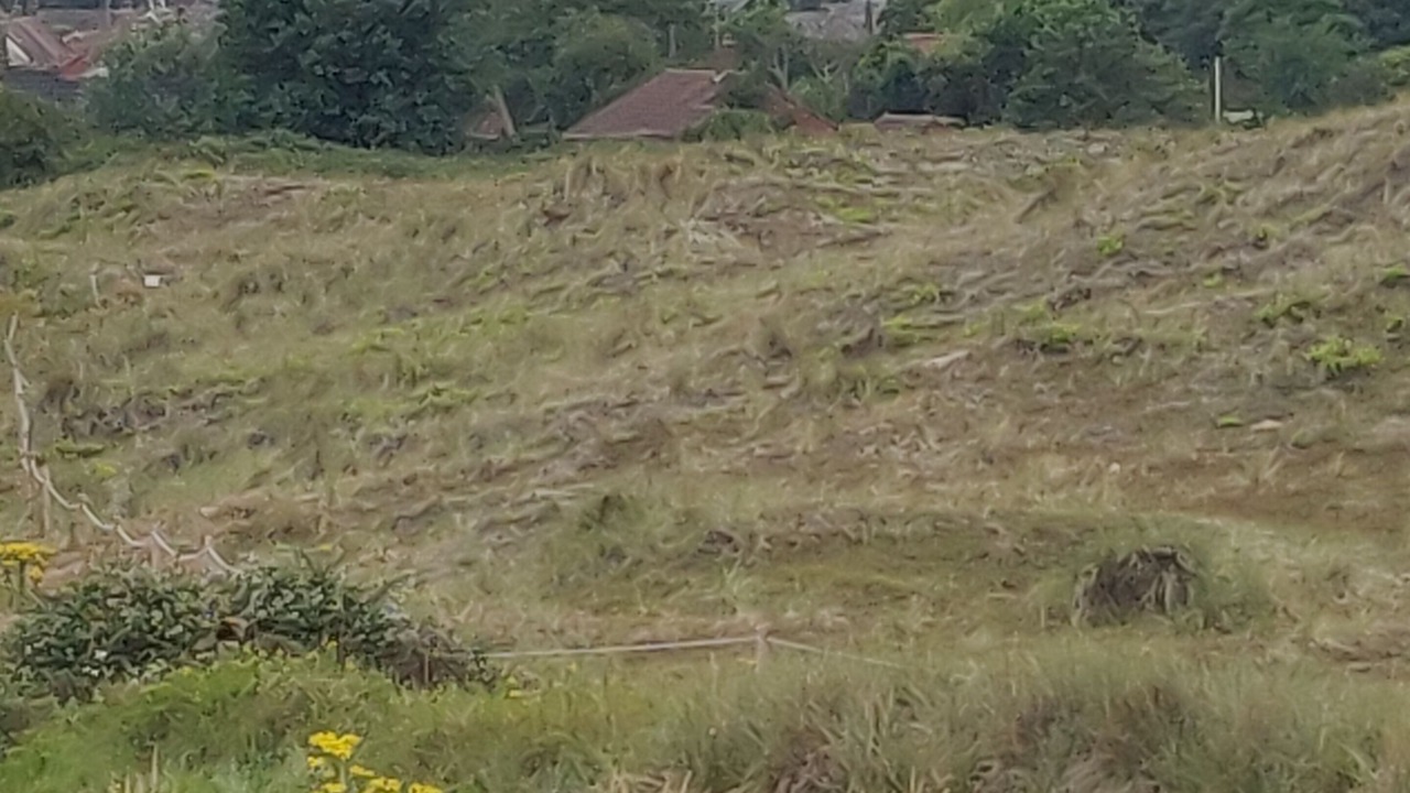 Photo of Others in Winterton-on-Sea