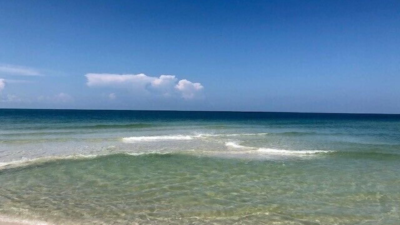 Photo of Others in Cape San Blas