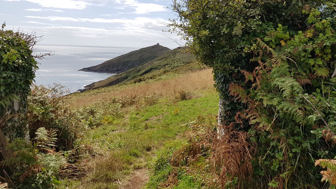 Photo of Others in Portwrinkle