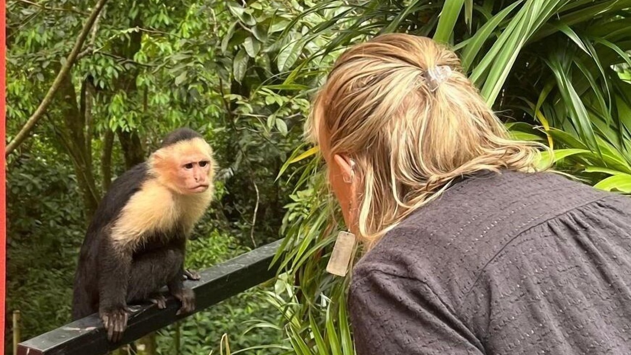 Photo of Outdoor in Manuel Antonio