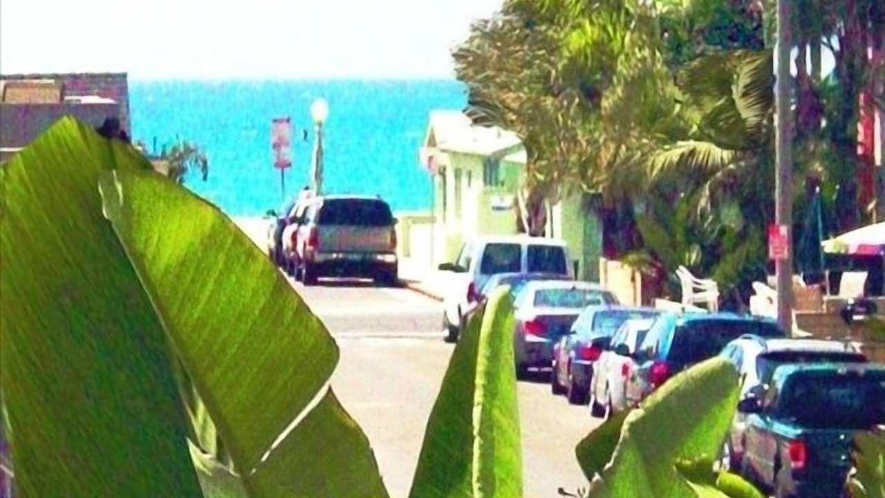 Photo of Others in West Newport