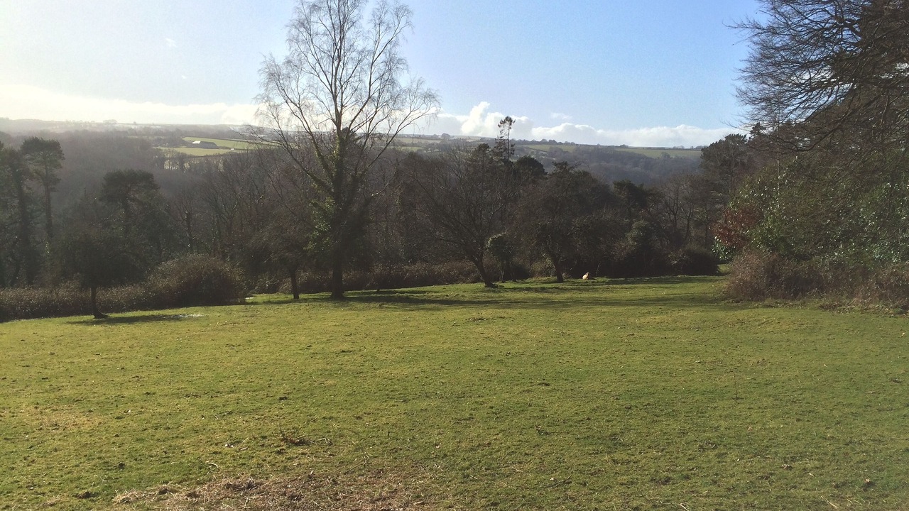 Photo of Others in Buckfastleigh