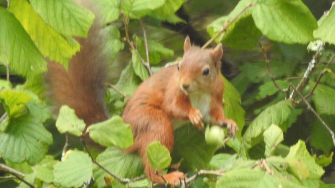 Photo of Outdoor in Kilcreggan