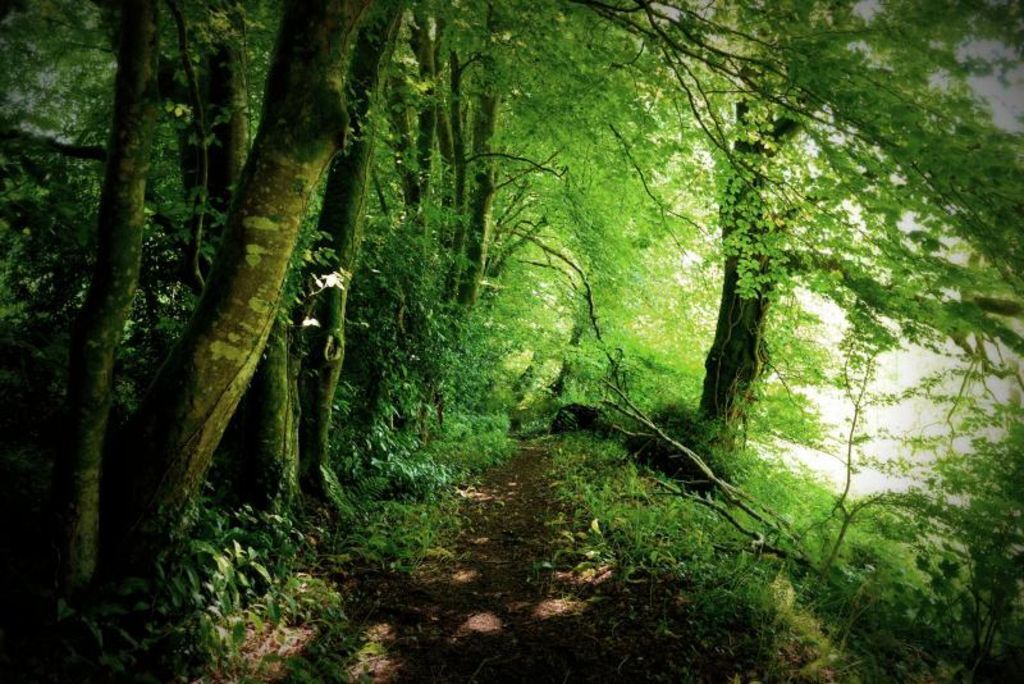 Photo of Others in Ivybridge