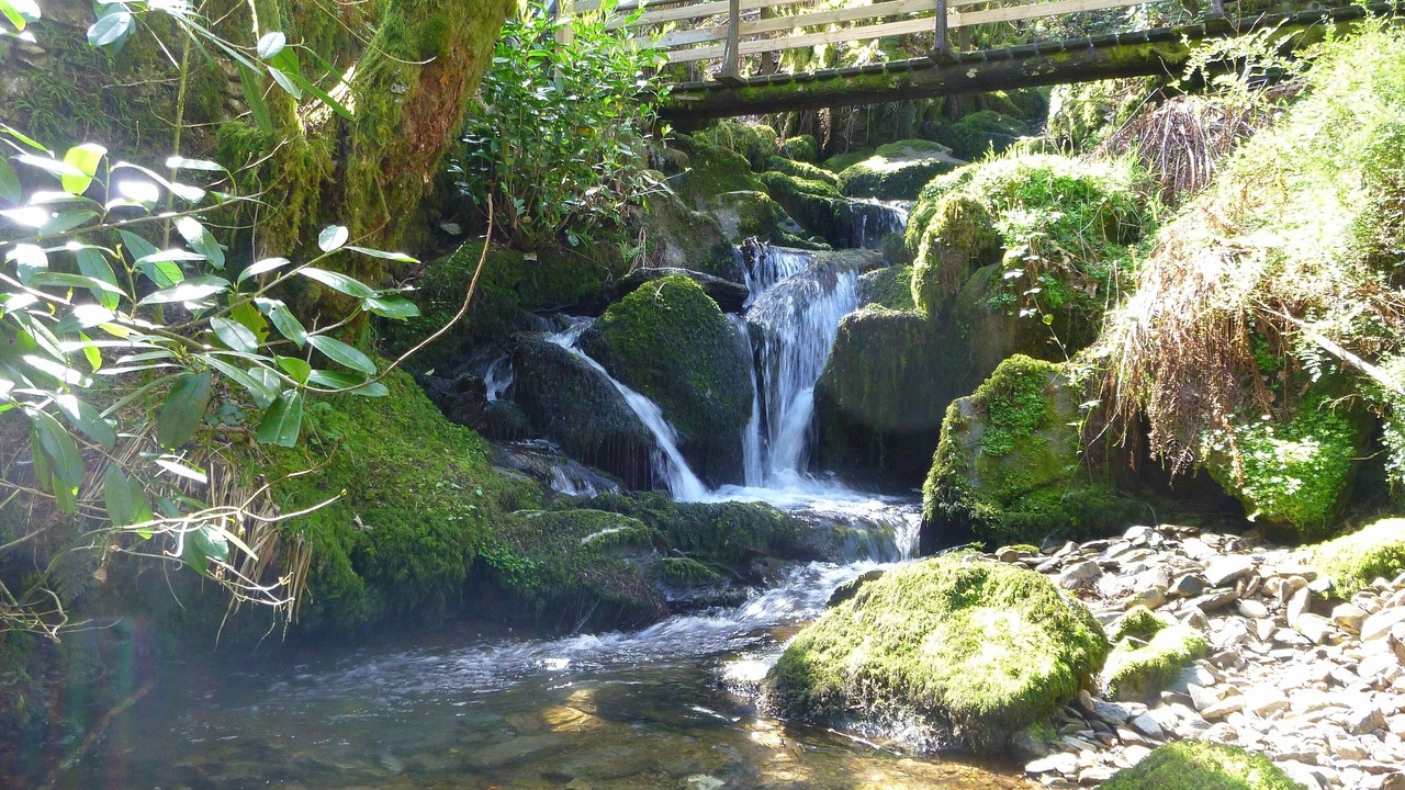 Photo of Others in Lynton