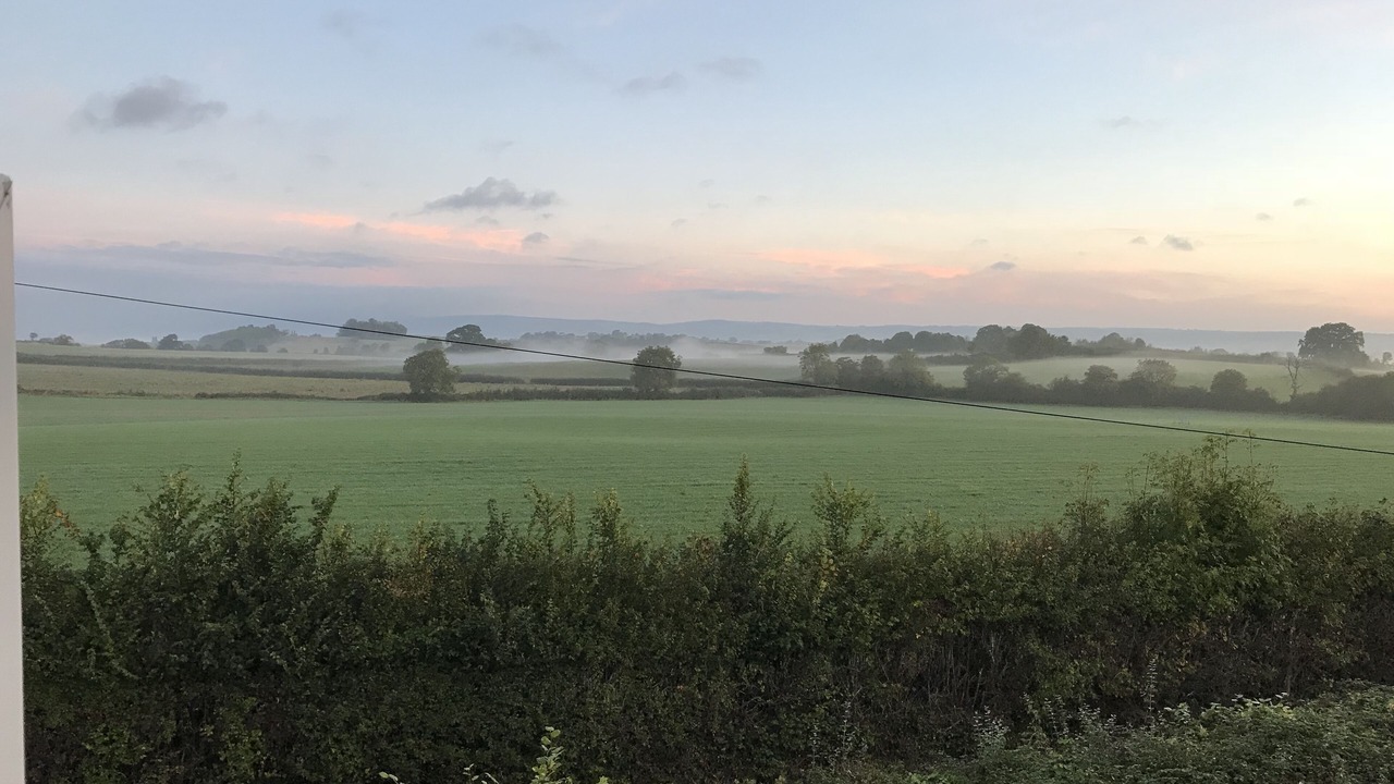 Photo of Others in West Buckland