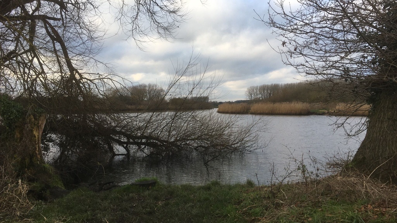 Photo of Outdoor in Surlingham