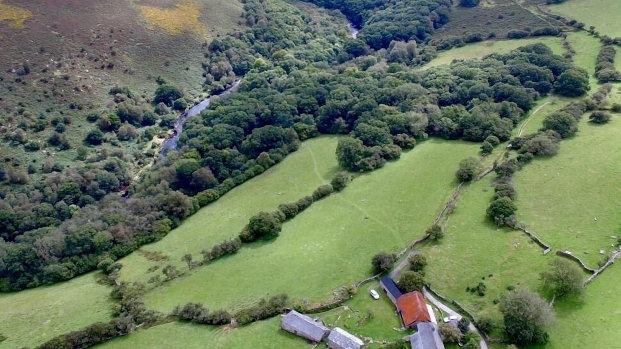 Photo of Others in Dartmoor National Park