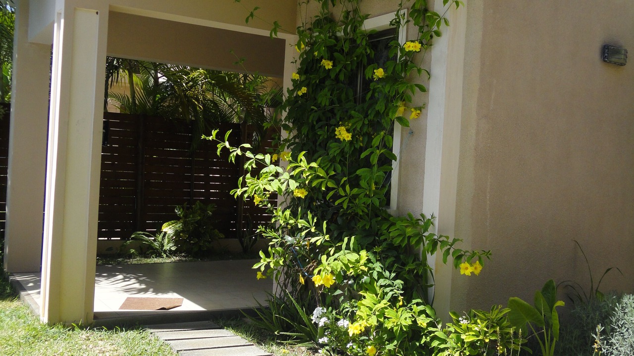 Photo of Outdoor in Trou d'Eau Douce
