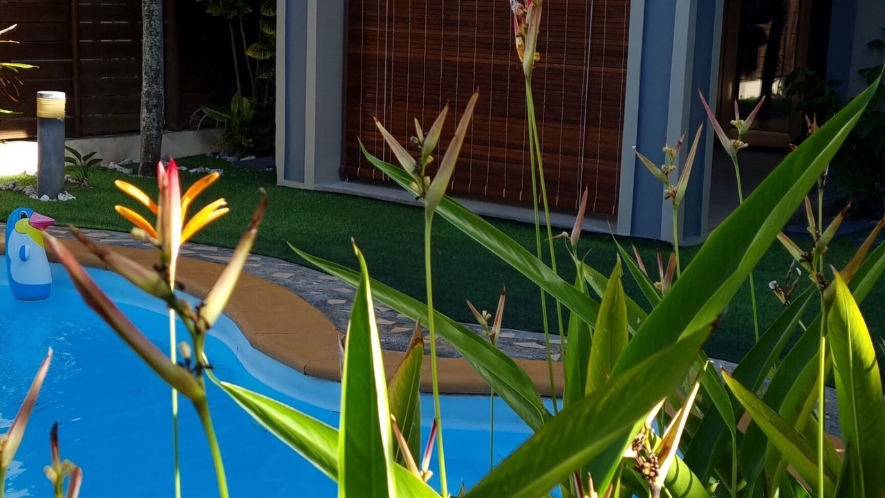 Photo of Outdoor in Trou d'Eau Douce