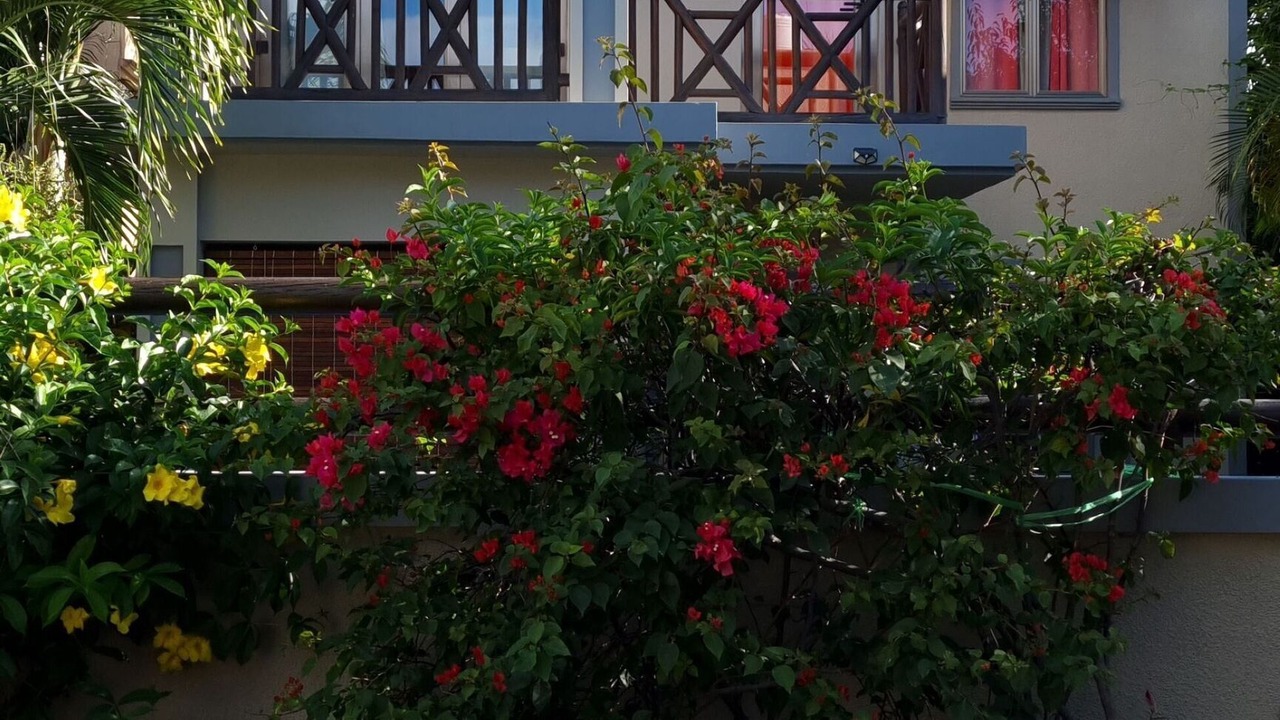 Photo of Outdoor in Trou d'Eau Douce