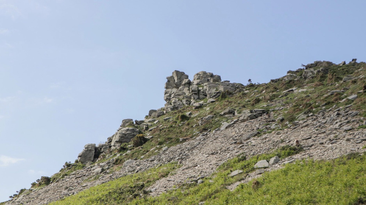 Photo of Others in Watchet