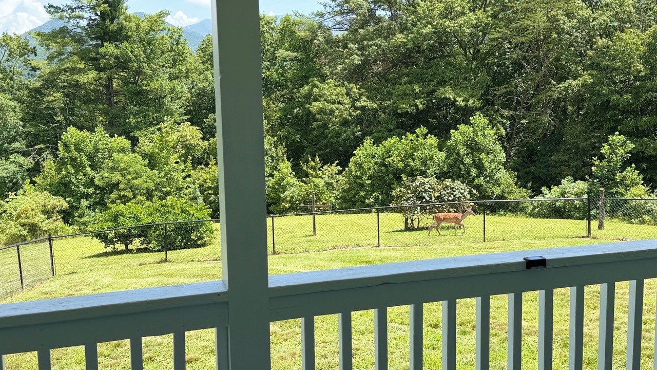 Photo of Outdoor in Otto