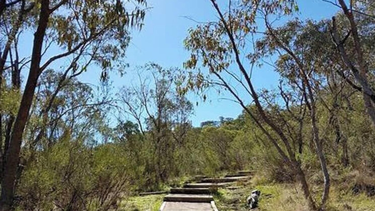 Photo of Others in Kambah