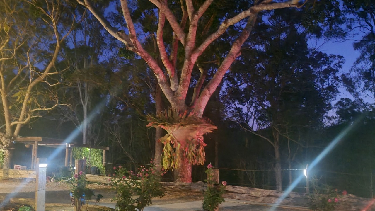 Photo of Others in Amamoor