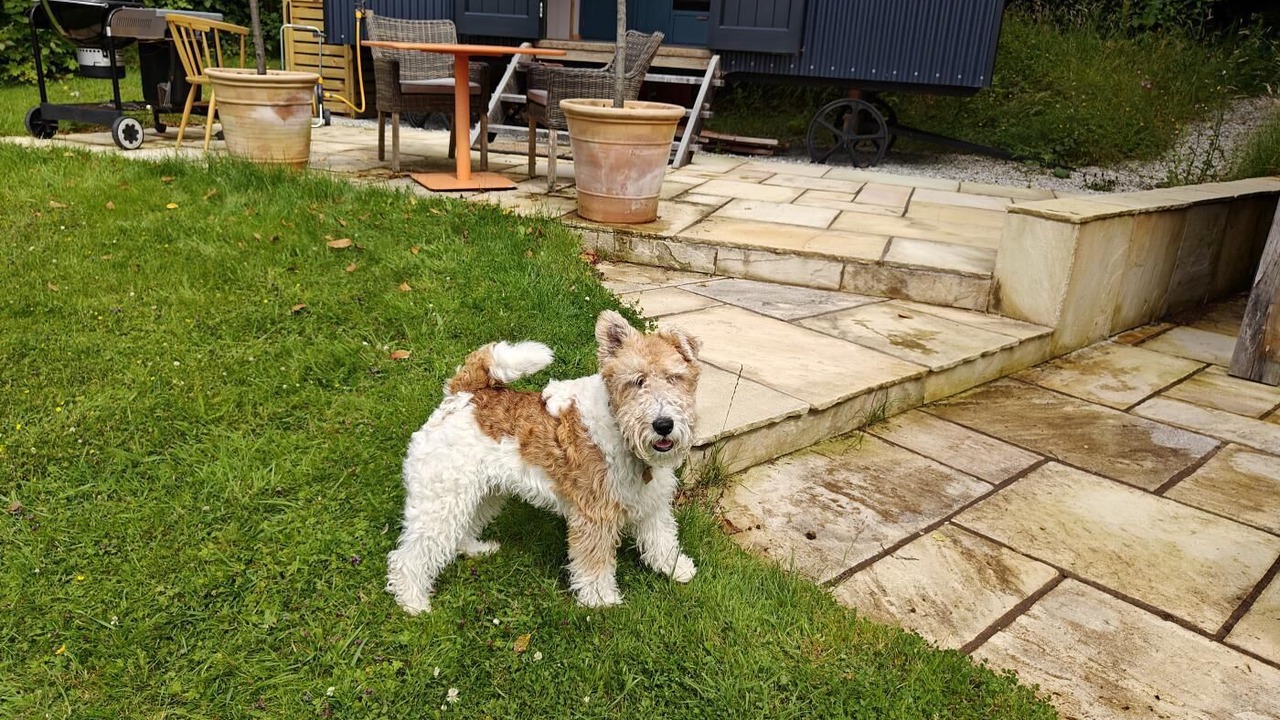 Photo of Outdoor in Withypool