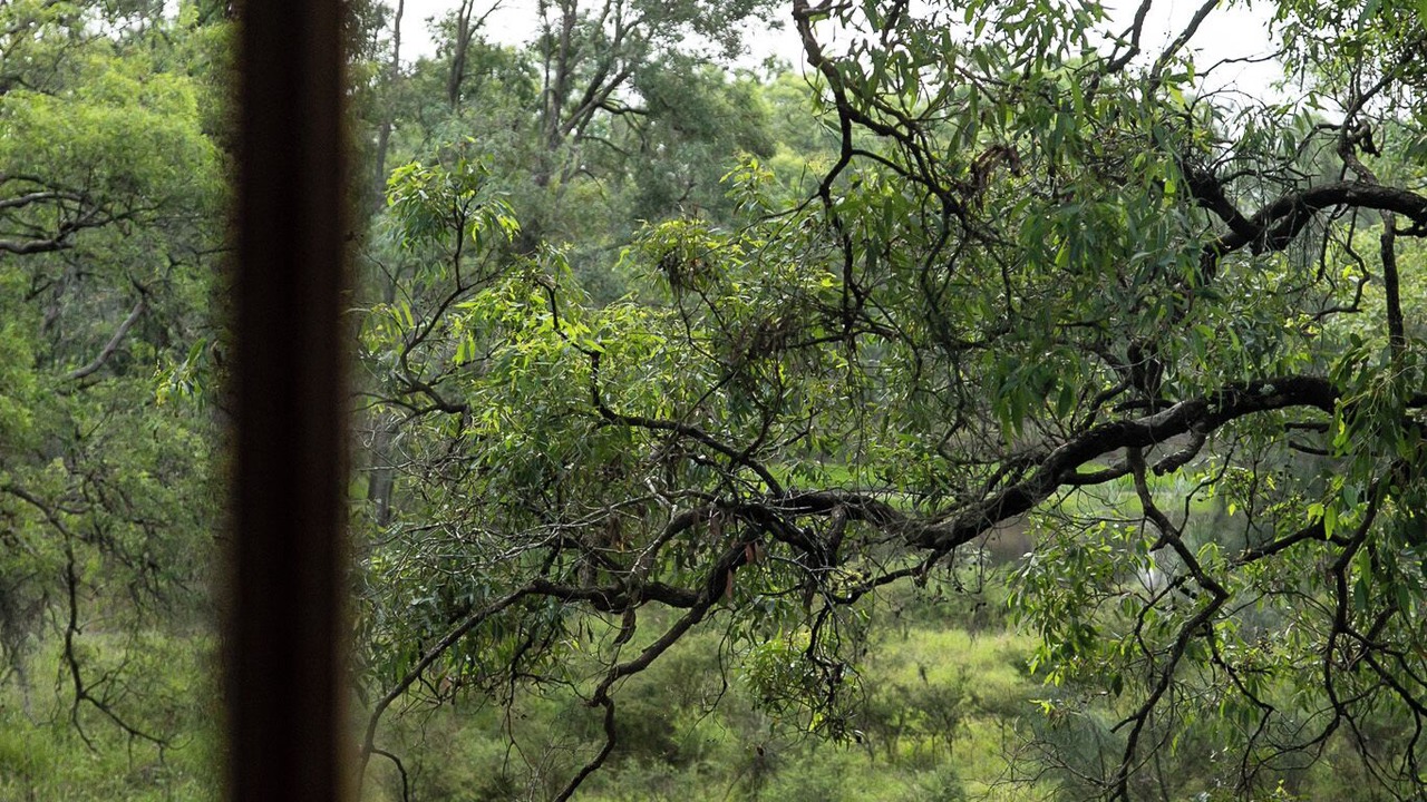 Photo of Others in Lovedale