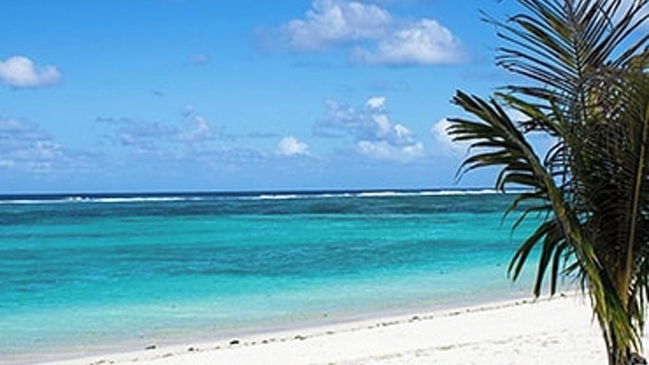 Photo of Others in Quatre Cocos