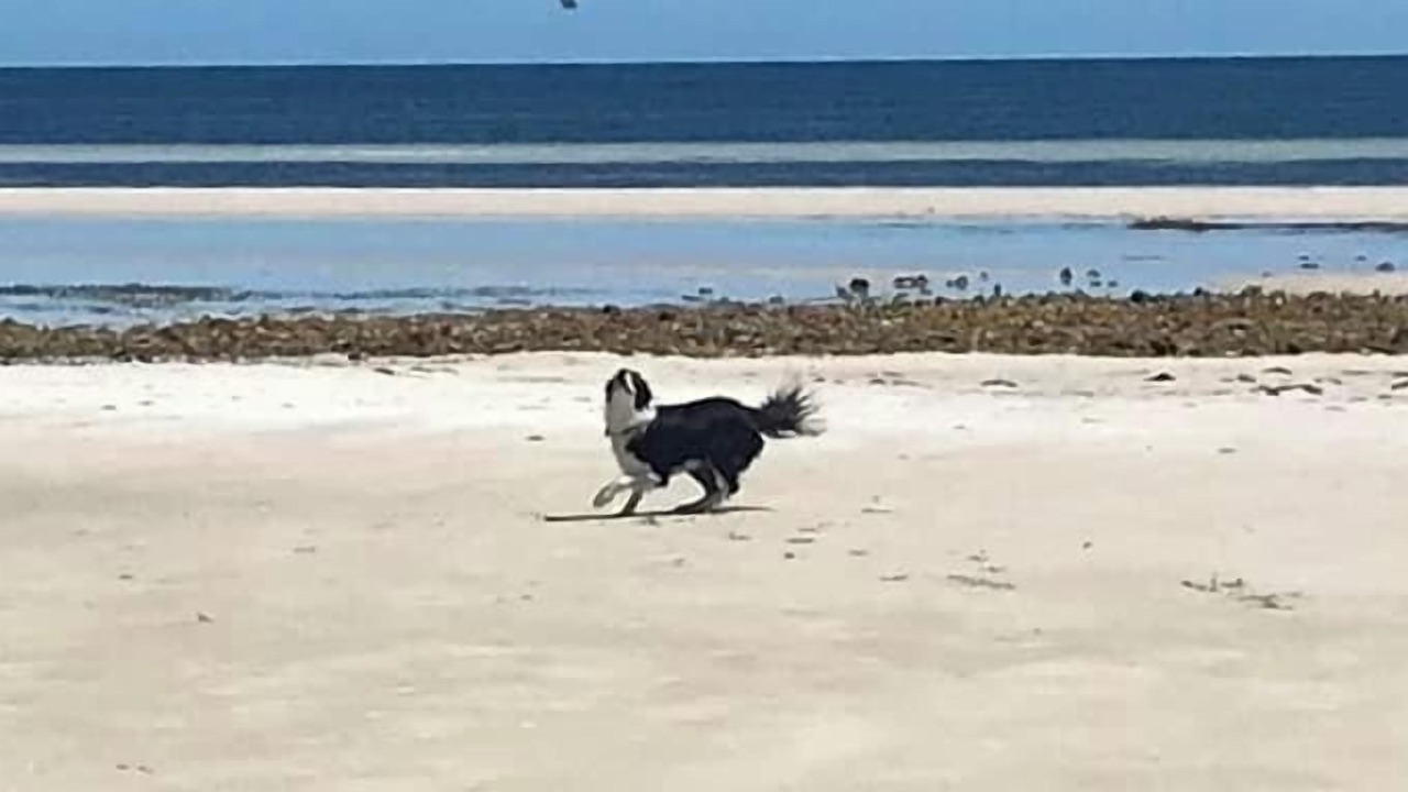 Photo of Others in Port Hughes