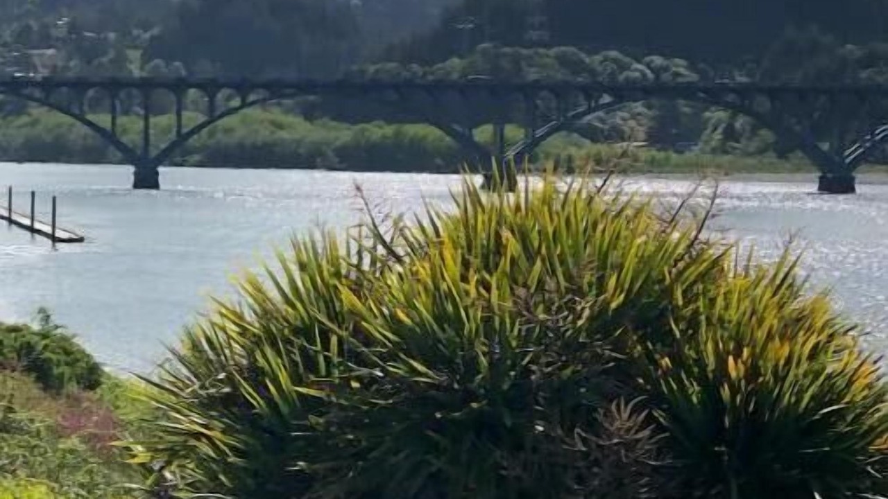 Photo of Others in Gold Beach