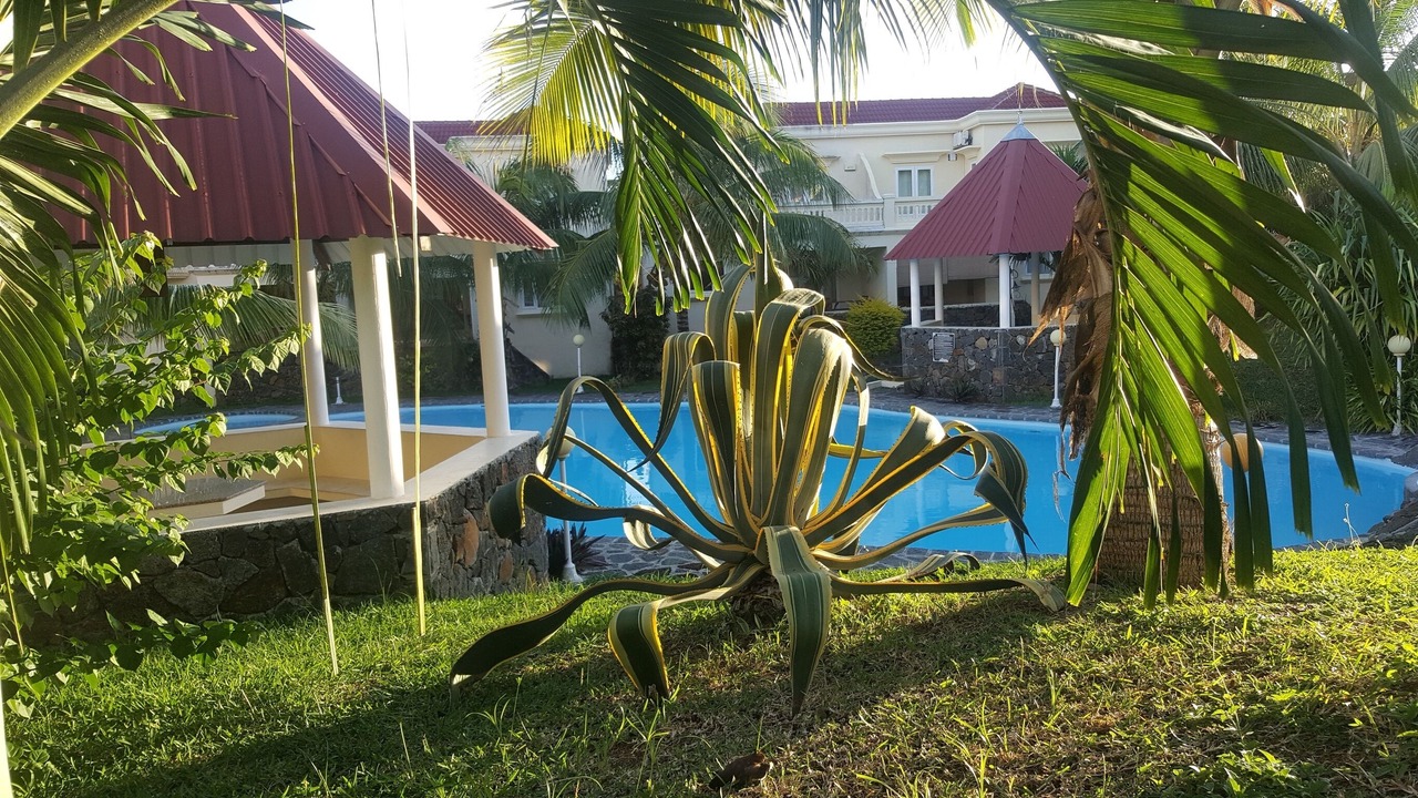 Photo of Outdoor in Quatre Cocos
