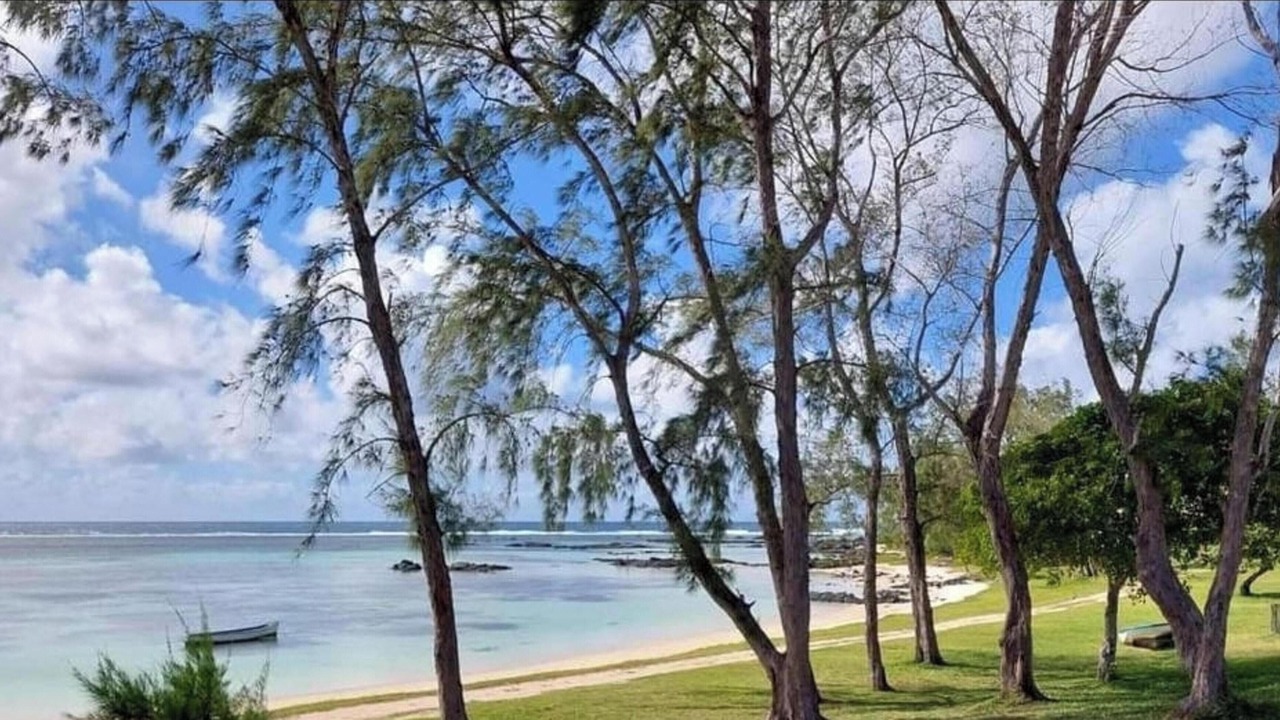 Photo of Others in Quatre Cocos
