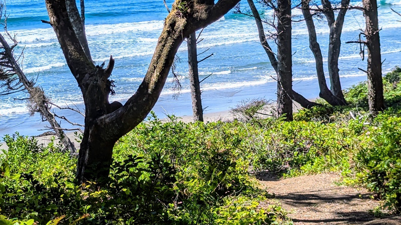 Photo of Others in Otter Rock