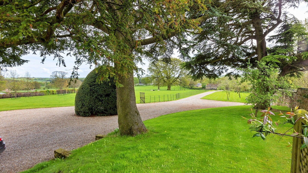 Photo of Outdoor in Ripon
