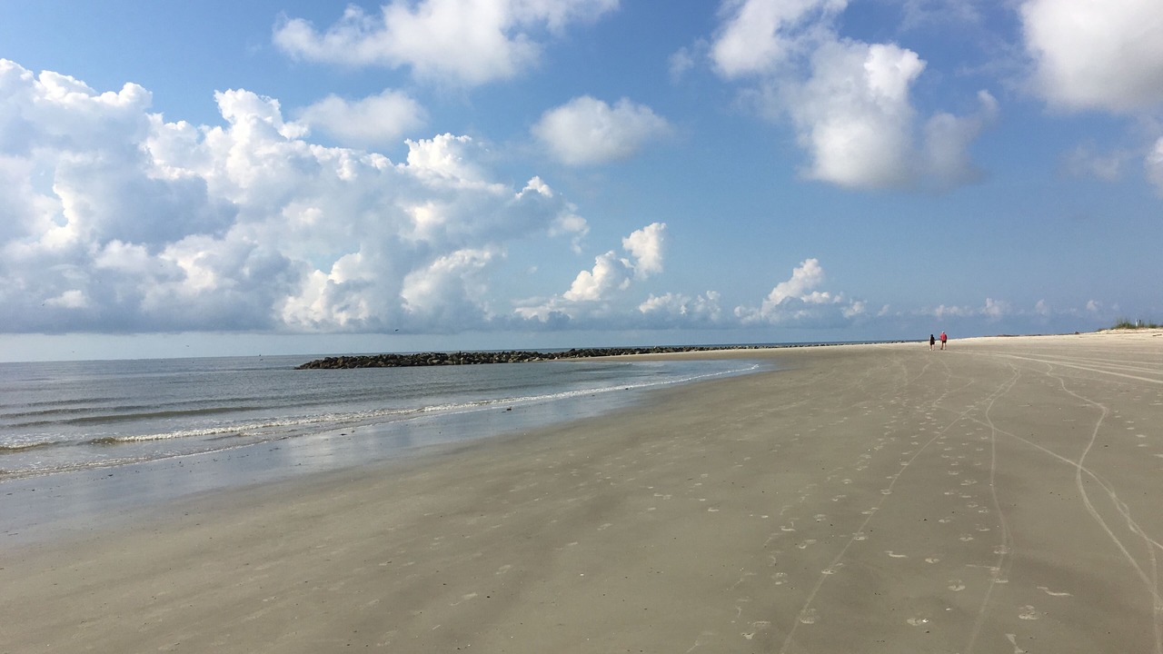 Photo of Others in Folly Field