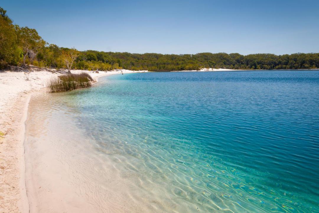Photo of Others in Kingfisher Bay