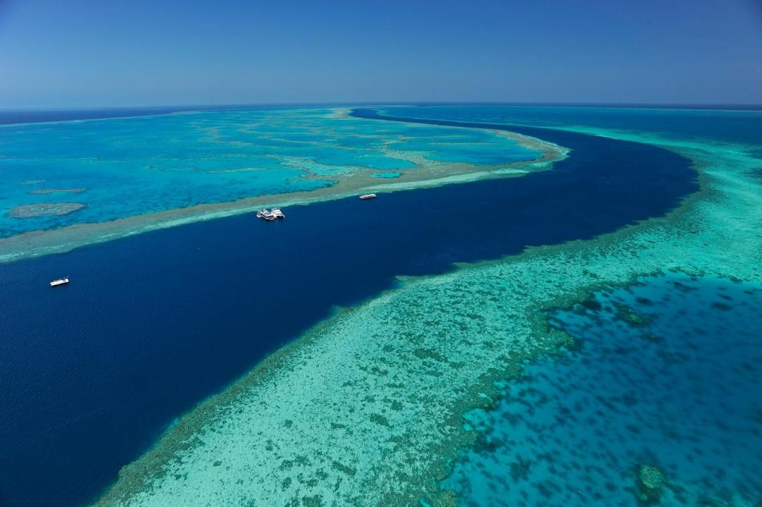 Photo of Others in Hamilton Island