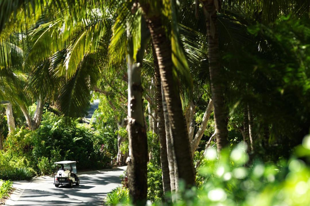 Photo of Others in Hamilton Island