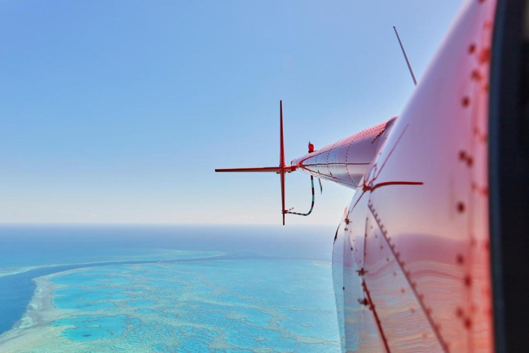 Photo of Others in Hamilton Island