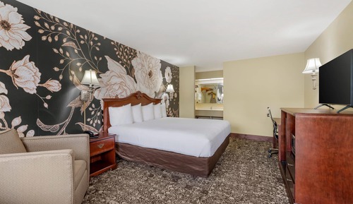 Room, 1 King Bed, Accessible, Non Smoking